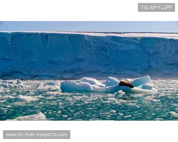 _极地冰川雪地摩托：冰原上的速度狂飙_，极地冰川融化图片