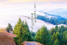 开云体育网站入口-英超球队结合GPS数据调整赛季训练强度，英超球队实力定位