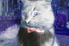 开云体育下载官网-国家攀岩队训练注重动作连贯与节奏掌控，攀岩专项训练