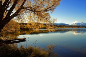 开云体育官方下载-主场比赛助攻分布热区是否趋向固定区域，场均助攻