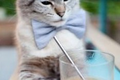 kaiyun-体育新闻中心主办体育文化数字传播创新峰会，体育 数字化