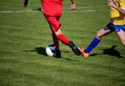 开云体育在线赛事直播-世界马拉松大满贯赛事上海站开跑，世界马拉松大满贯赛事上海站开跑时间