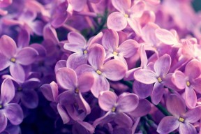 开云官方网页登录-波兰队未来展望：如何借助技术创新突破乒乓传统打法局限，波兰乒乓球联赛