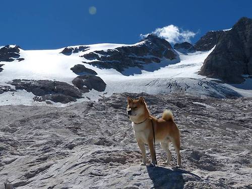 全国青少年滑雪精英赛展开跨区对抗，2021青少年滑雪比赛