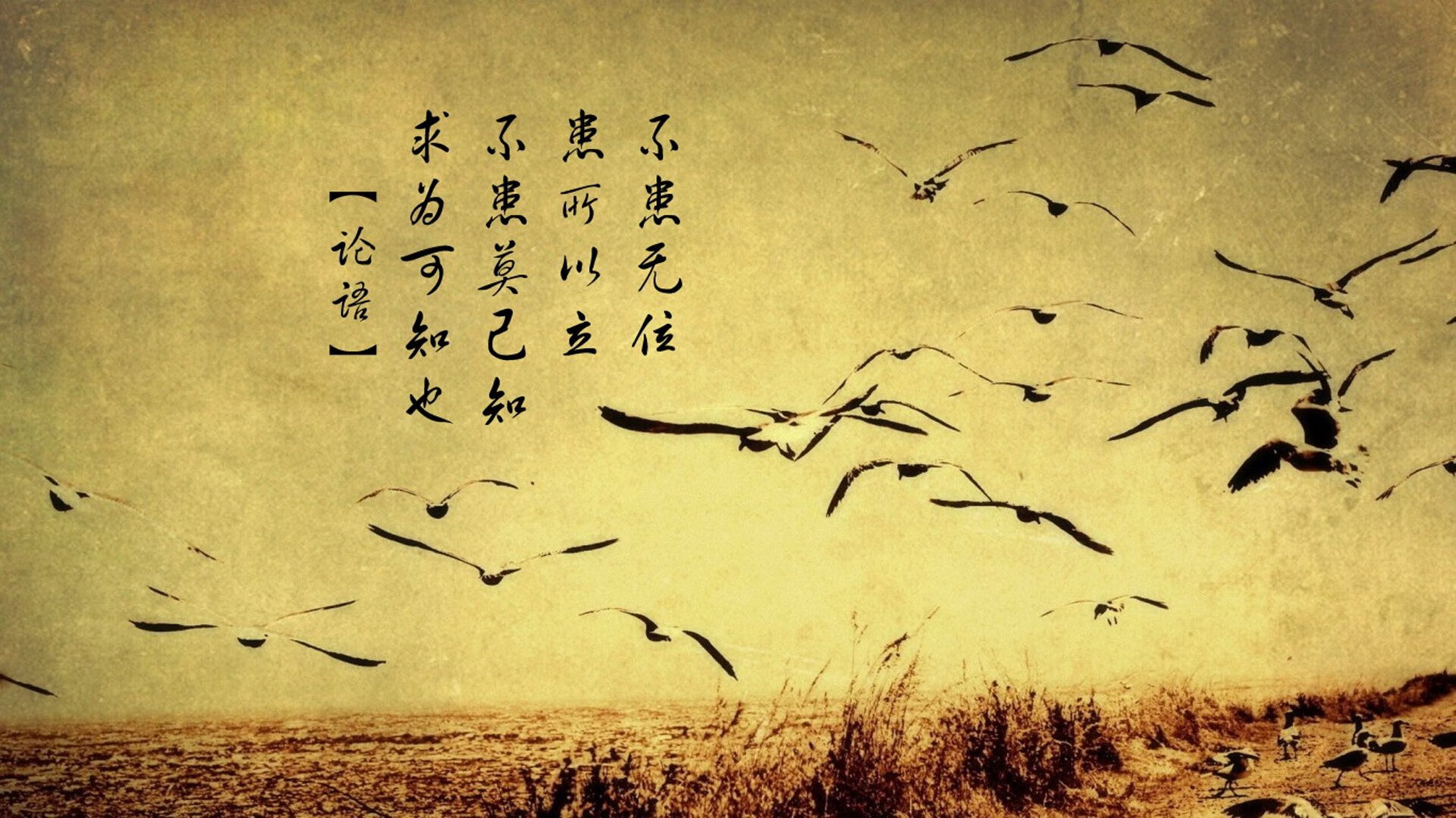 德甲替补席深度影响赛程，德甲晋级