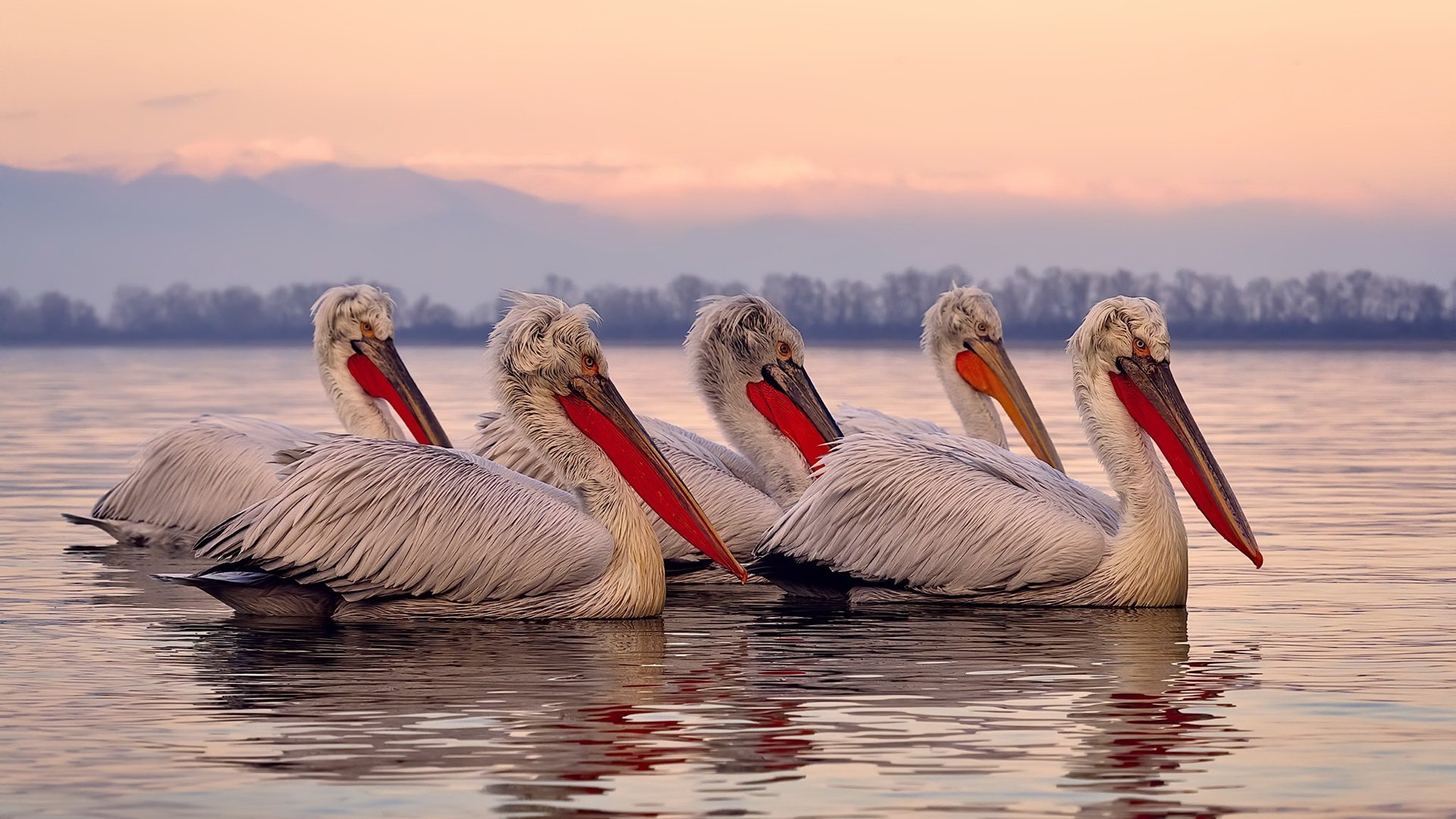 技术雷达图显示动作标准化趋势明显，雷达的技术指标