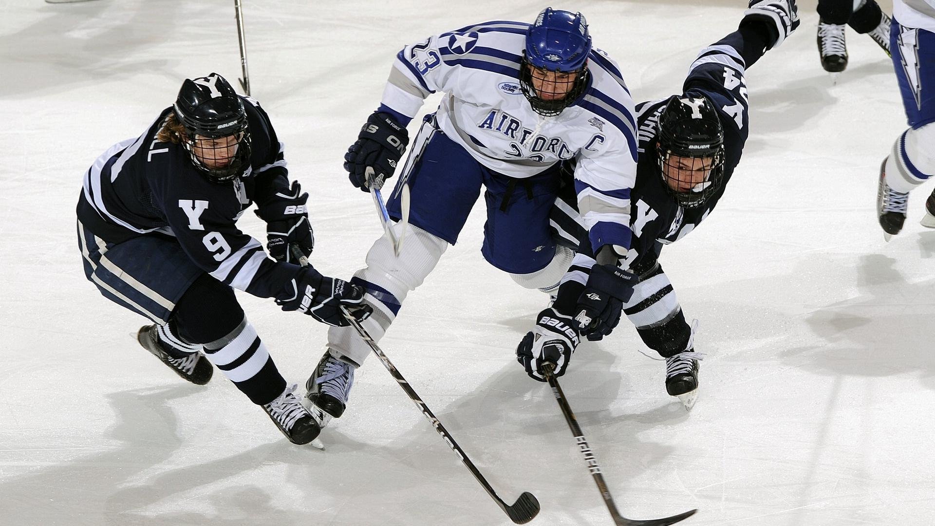 体育场馆绿色节能管理体系设计与实施研究，体育馆节能分析