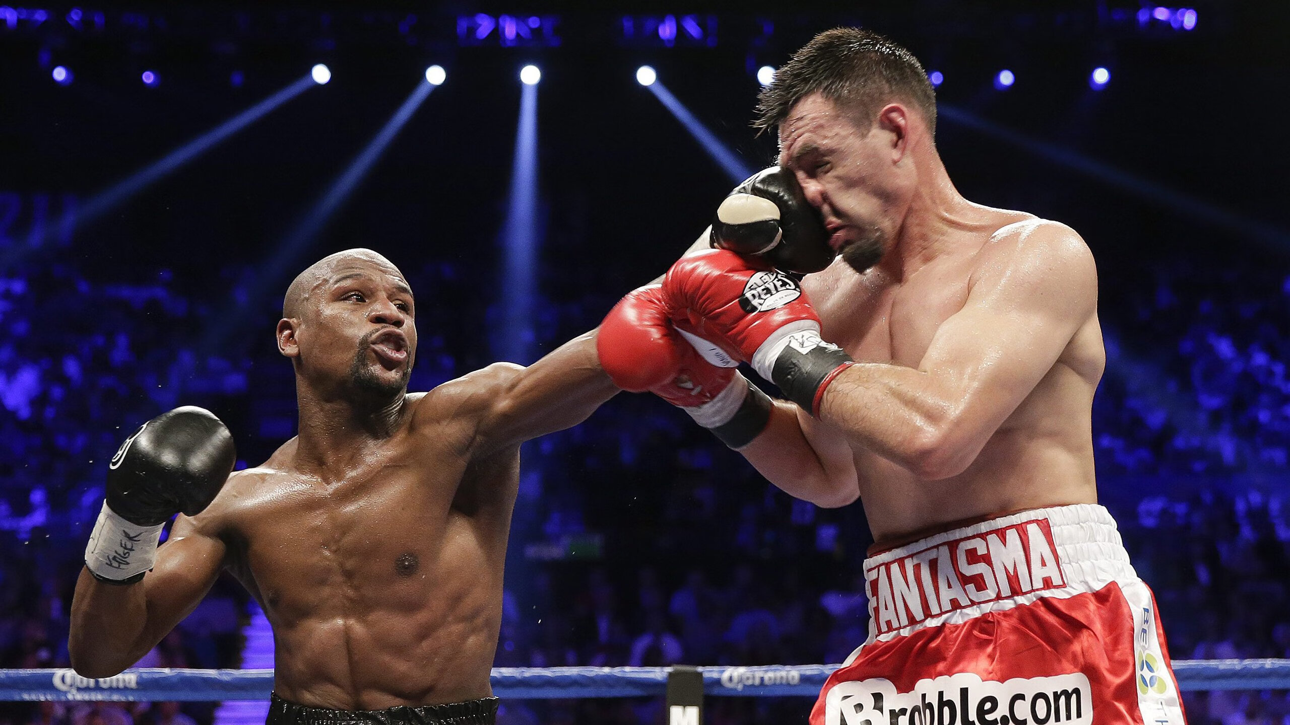 体育新闻中心构建体育教育类自媒体资源协同网络，全体育媒体